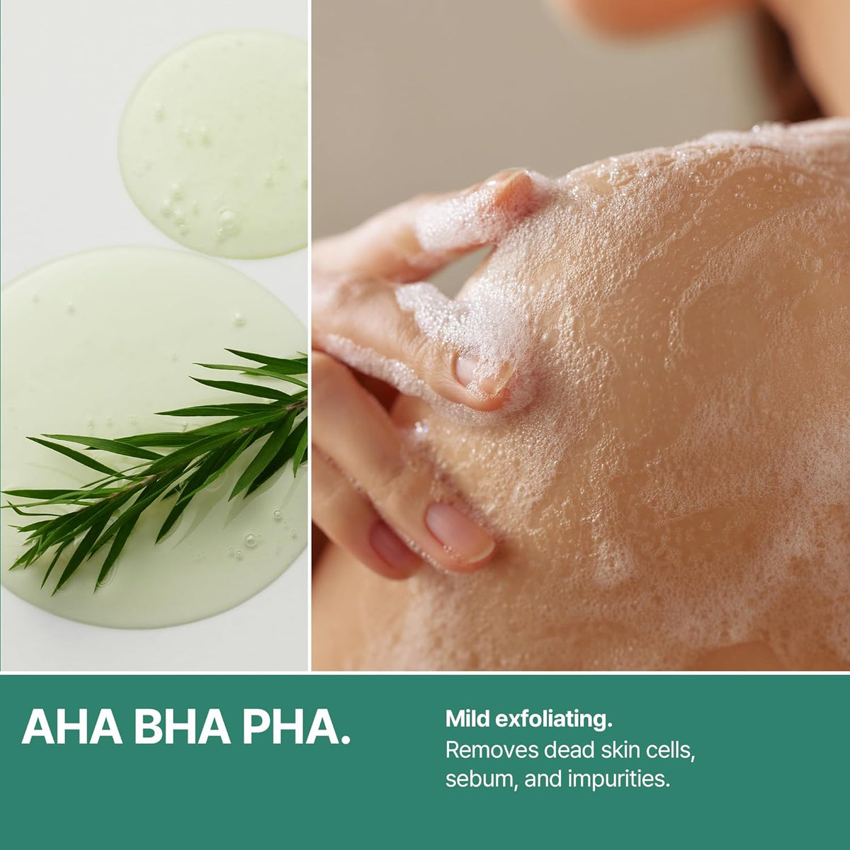 AHA BHA PHA: tea tree sprigs beside a lathered shoulder, mild exfoliation that removes dead skin cells, sebum and impurities