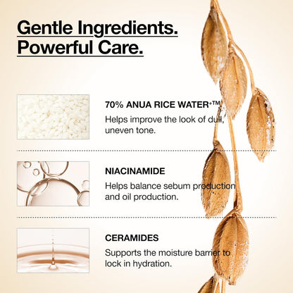 Gentle ingredients, powerful care: 70% Anua rice water, niacinamide and ceramides, beside a stalk of rice
