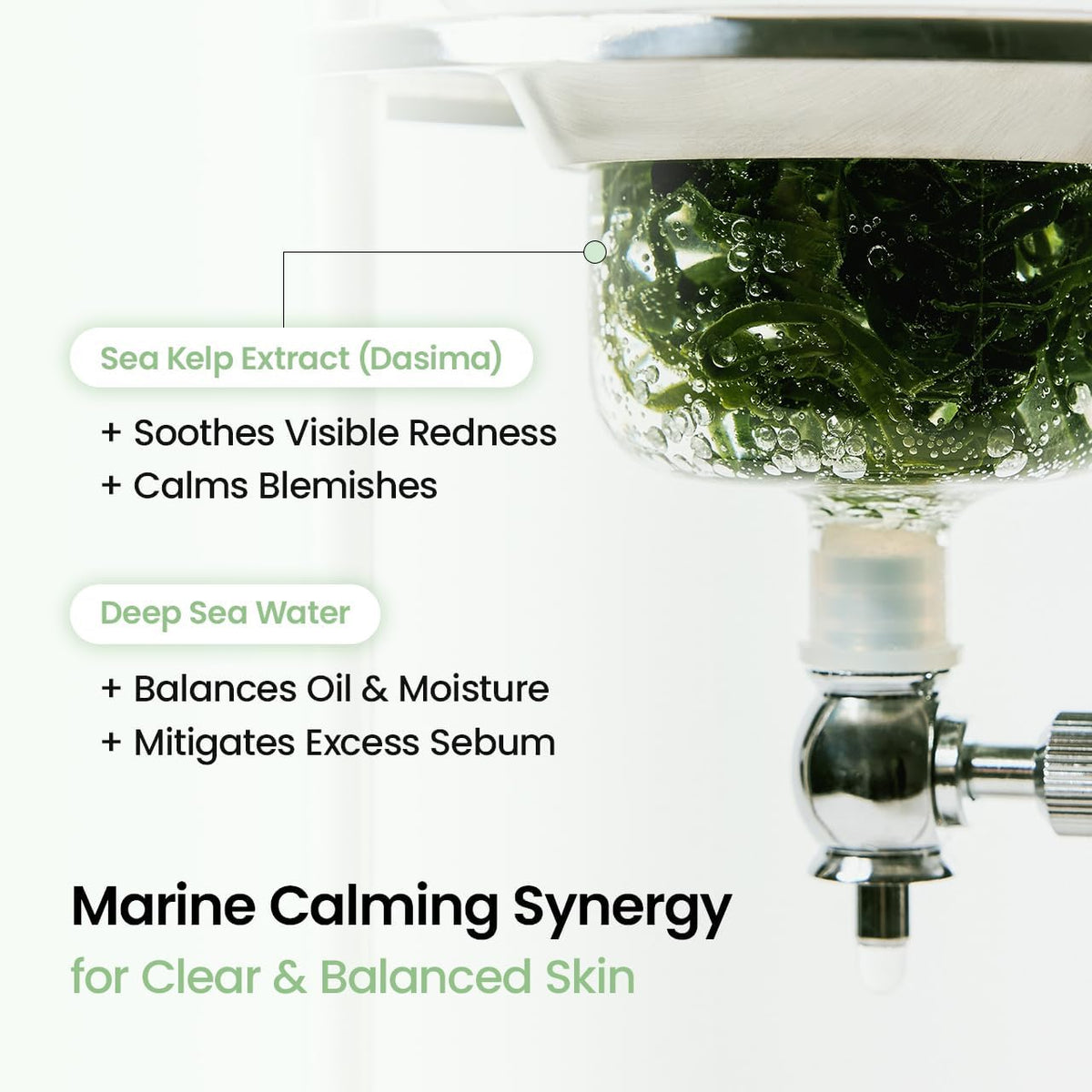 Marine calming synergy: sea kelp extract to soothe redness and calm blemishes, deep sea water to balance oil and moisture, shown with kelp in a glass vessel