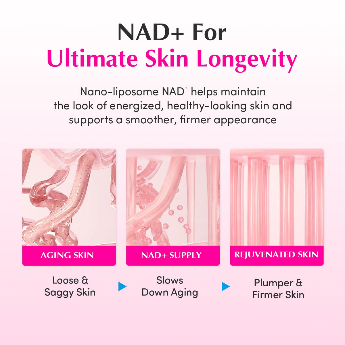 NAD plus for skin longevity shown in three stages: ageing skin, NAD plus supply, rejuvenated skin