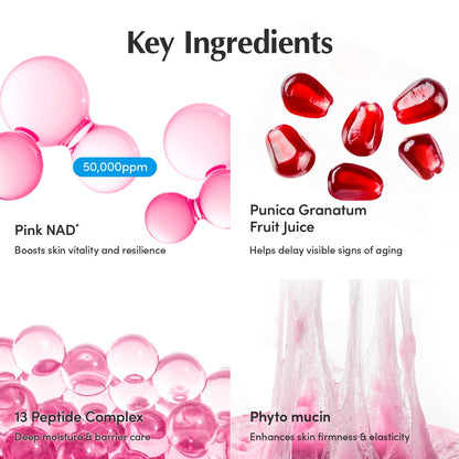 Eqqualberry Nad Plus Peptide Boosting Cream 50ml - Eqqualberry K-Beauty