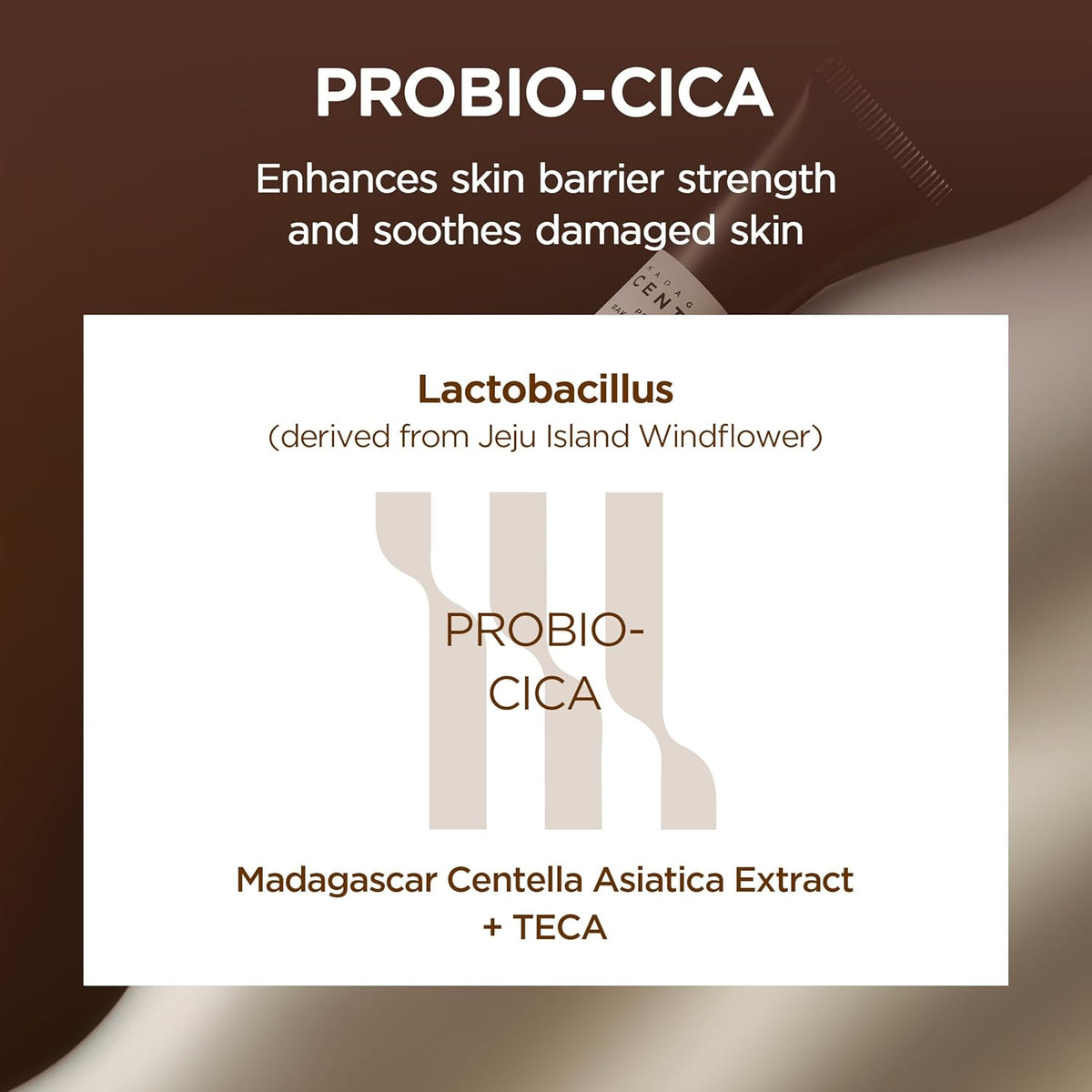 Probio-Cica enhances barrier strength: lactobacillus derived from Jeju Island windflower with Madagascar centella extract and TECA