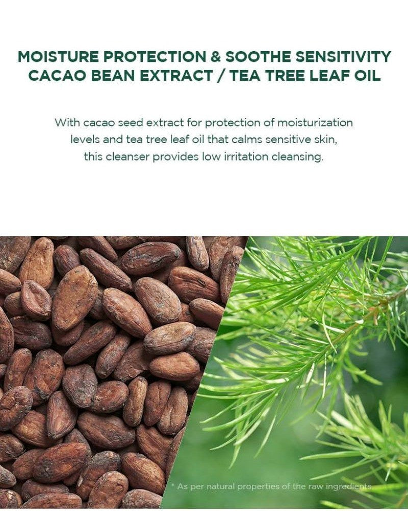 SKIN1004 Madagascar Centella Tea-Trica BHA Foam 125ml ingredients cacao bean extract and tea tree leaf oil, shown as cacao beans beside fresh tea tree leaves