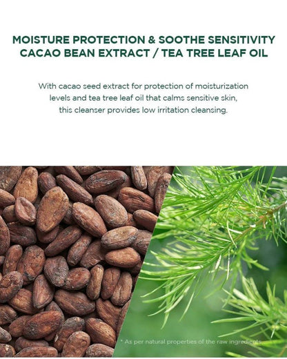 SKIN1004 Madagascar Centella Tea-Trica BHA Foam 125ml ingredients cacao bean extract and tea tree leaf oil, shown as cacao beans beside fresh tea tree leaves