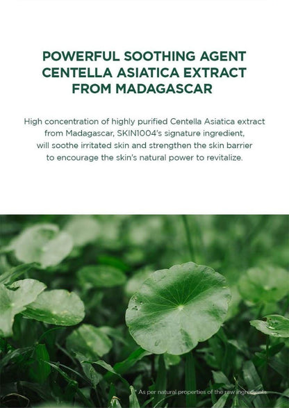 SKIN1004 Madagascar Centella Tea-Trica Purifying Toner 210ml key ingredient: highly purified centella asiatica extract from Madagascar, shown as fresh centella leaves, to soothe skin and strengthen the skin barrier