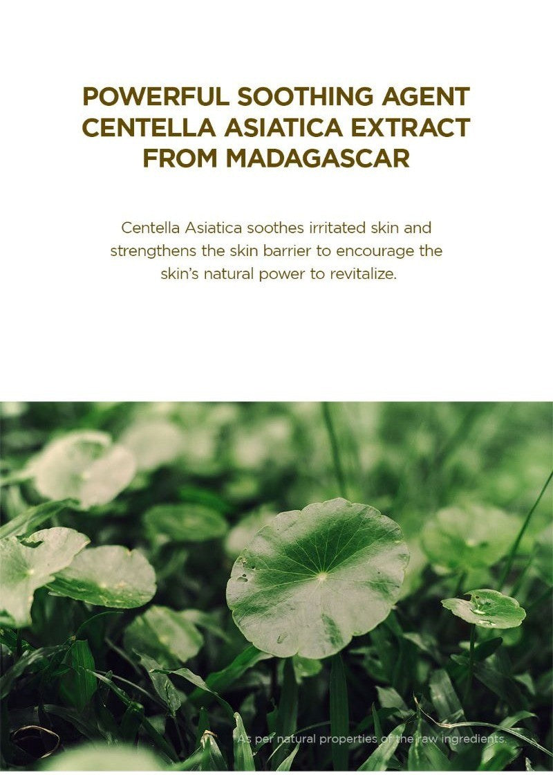 SKIN1004 Madagascar Centella Toning Toner 210ml key ingredient: centella asiatica extract from Madagascar, shown as fresh centella leaves, to soothe skin and support the skin barrier