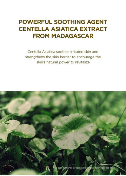 SKIN1004 Madagascar Centella Toning Toner 210ml key ingredient: centella asiatica extract from Madagascar, shown as fresh centella leaves, to soothe skin and support the skin barrier