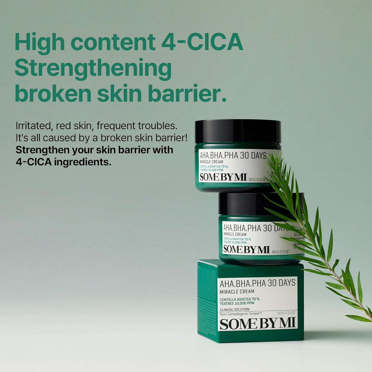 High content 4-Cica strengthening a broken skin barrier: stacked jars beside a tea tree sprig