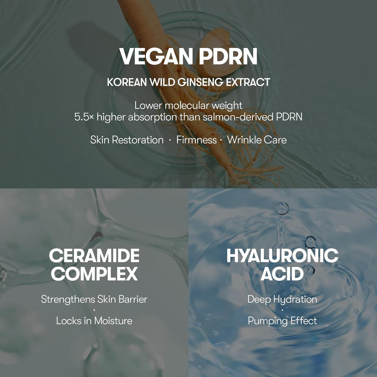 Vegan PDRN from Korean wild ginseng with 5.5 times higher absorption than salmon PDRN, plus a ceramide complex and hyaluronic acid